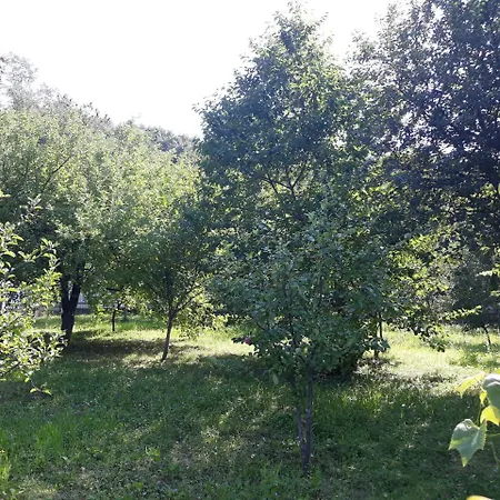 Jaktstuga 