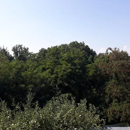 Jaktstuga 
